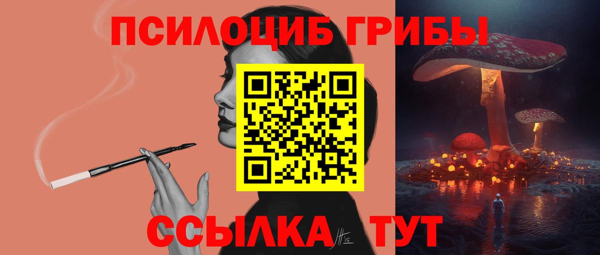Псилоцибиновые грибы Psilocybine cubensis Джанкой