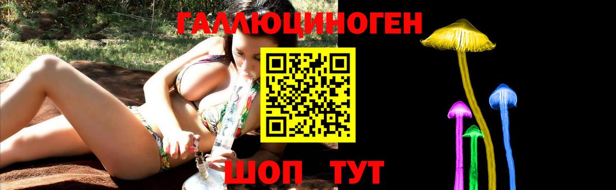 Джанкой  купить   Вход с VPN  Псилоцибиновые грибы GOLDEN TEACHER  Галлюциногенные грибы MAGIC MUSHROOMS 